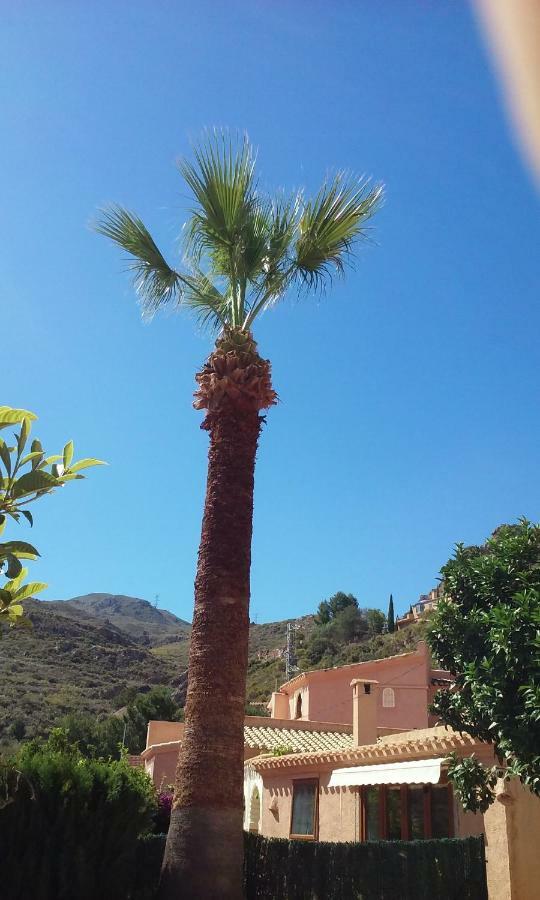 Cedra 5, Holiday Home, Cosy Apartment Turre Esterno foto